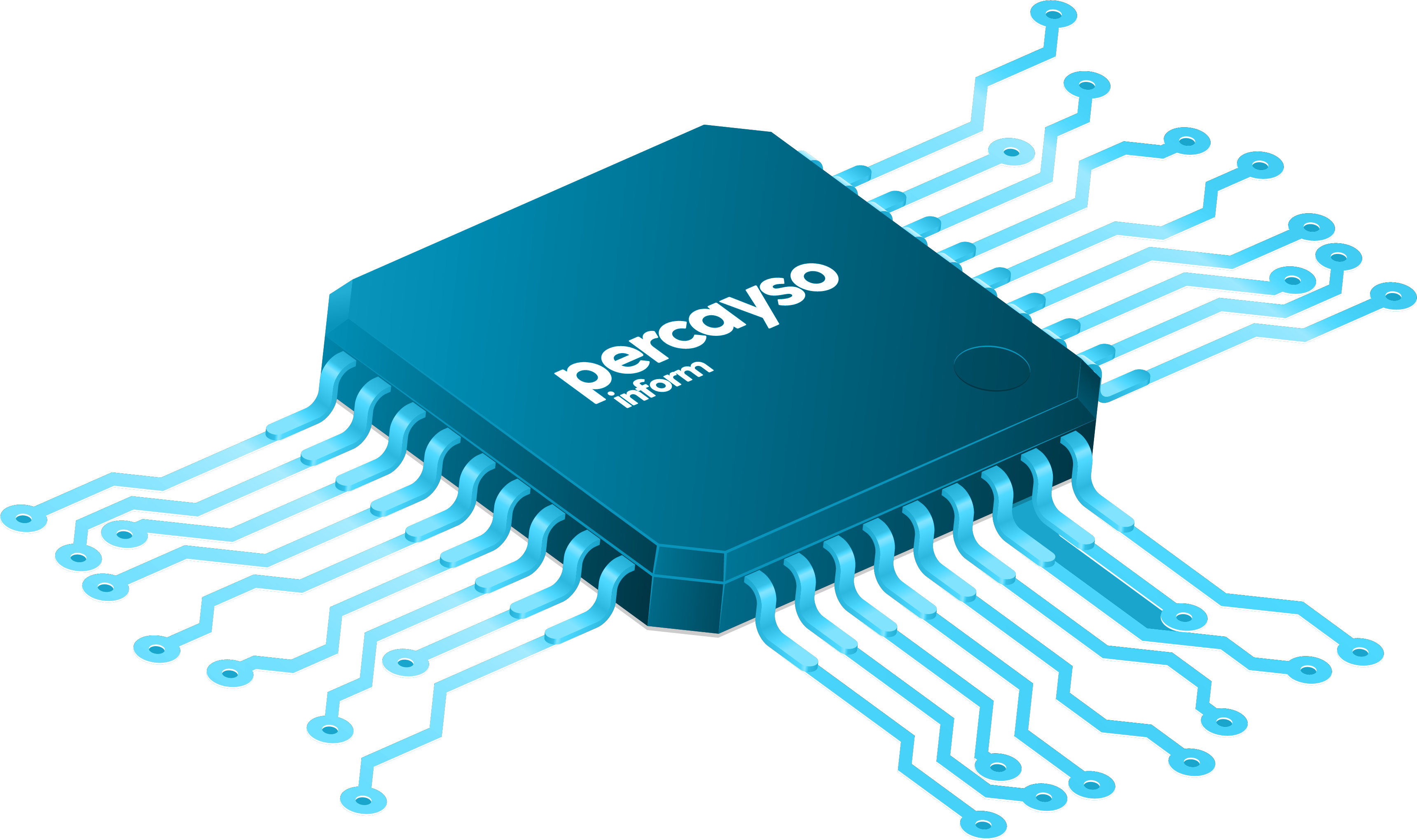 chip image